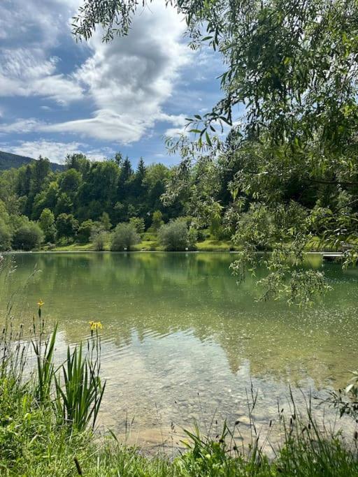 דירות אלבי-סיר-שראן Cocon A La Campagne,Proche Annecy מראה חיצוני תמונה